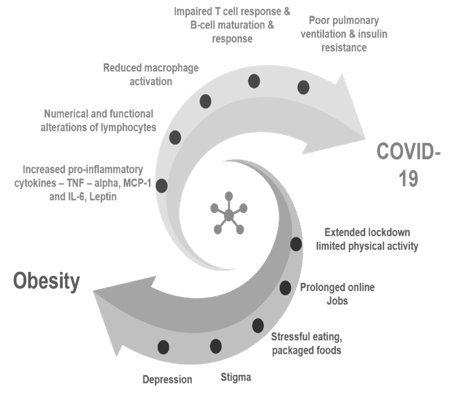 Interrelationship between Obesity & COVID 19
