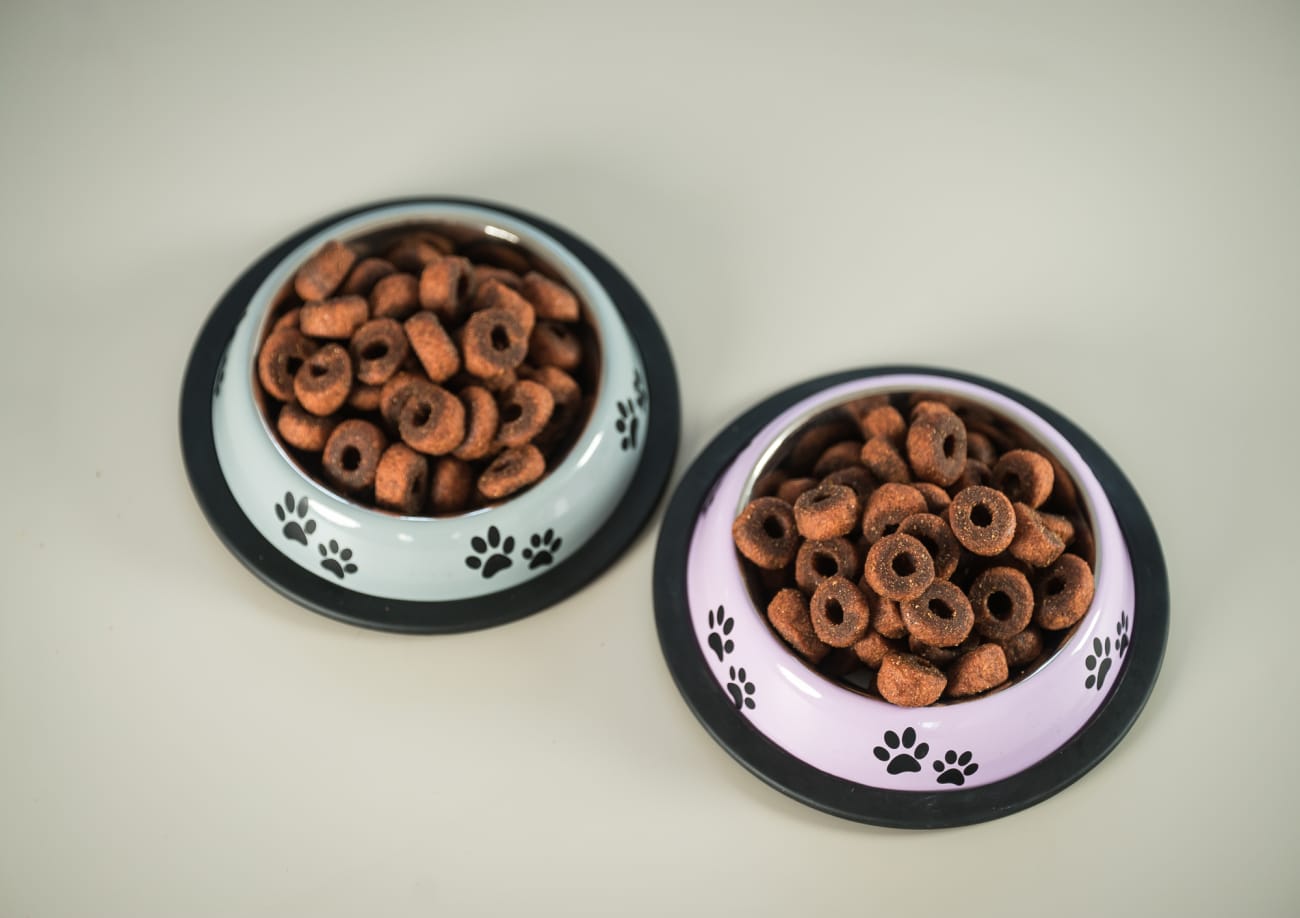 Revolutionizing Nutrition Exploring the NextGeneration Pet Foods
