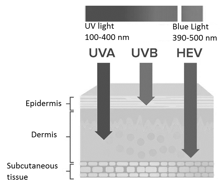 Wavelength of UV and blue light 
