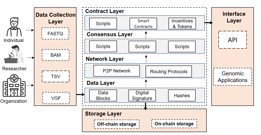 Basic flow of genomic data using blockchain