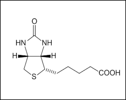 Vitamin B7 or H (biotin)