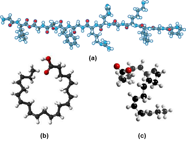 Structure of collagen 