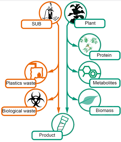 Comparison of waste generated in single-use bioreactor (SUB) and plant-based counterpart