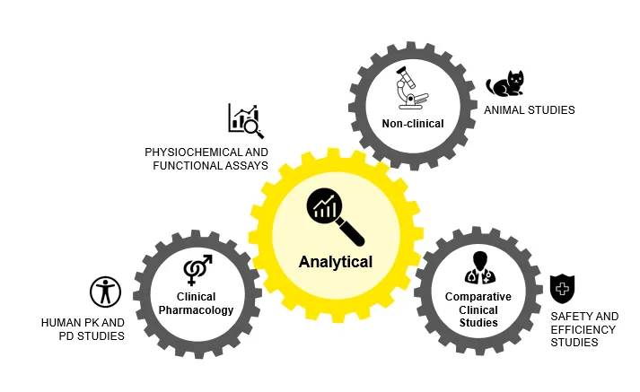 Approval Pathways for Biosimilars in U.S