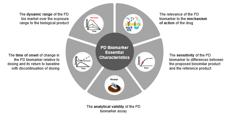 Five essential characteristics of P.D. (pharmacodynamic) biomarker for biosimilars as per FDA