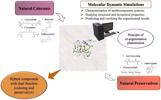 Natural Food Coloring: Molecular Dynamic Simulations