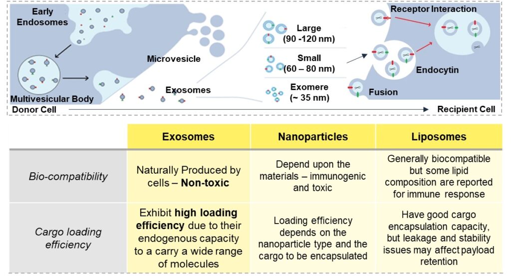 Remarkable capabilities of Exosomes