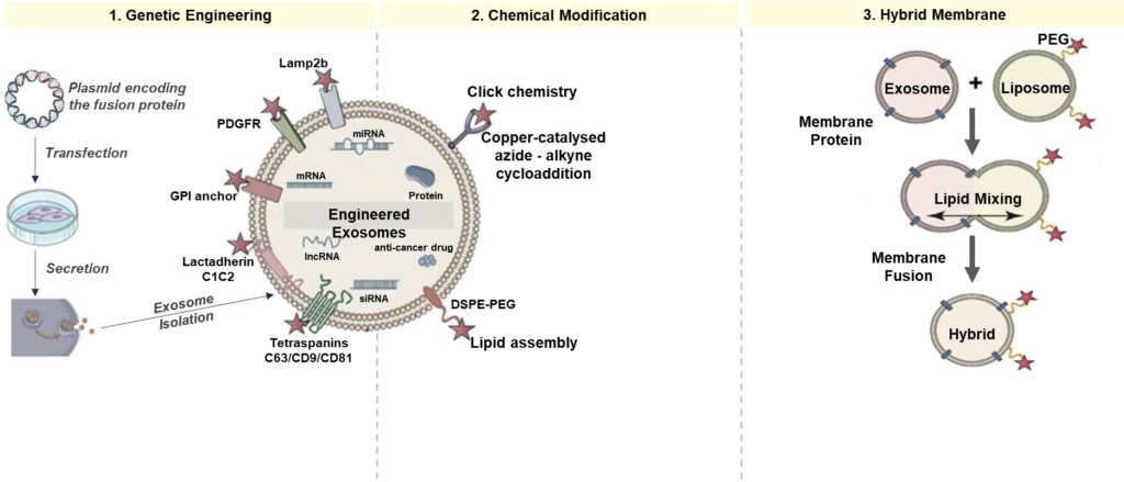 Genetic Engineering, Chemical Modification and Hybrid Membrane