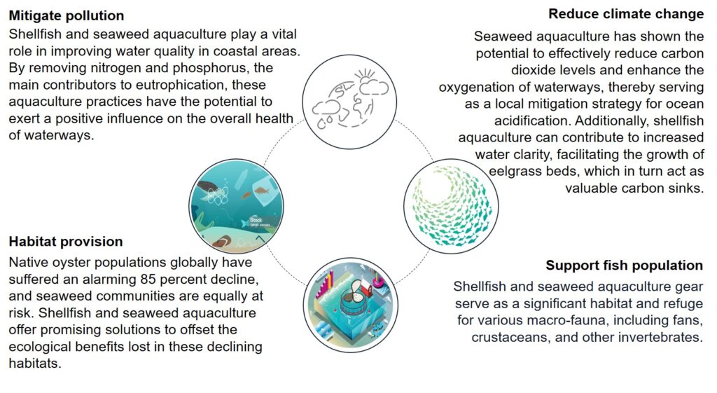 Benefits of Ocean Farming