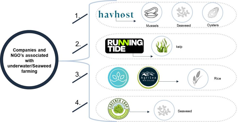 Companies and organizations involved in ocean farming