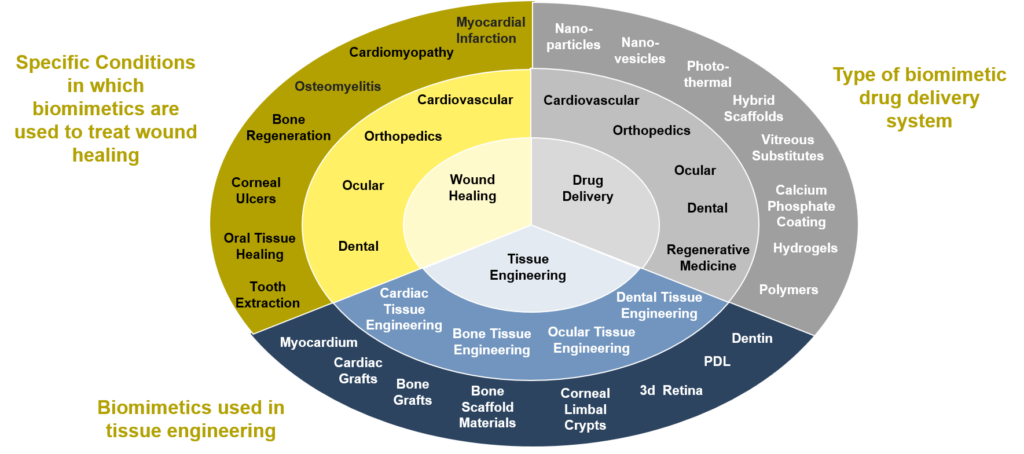Applications of biomimetics in healthcare