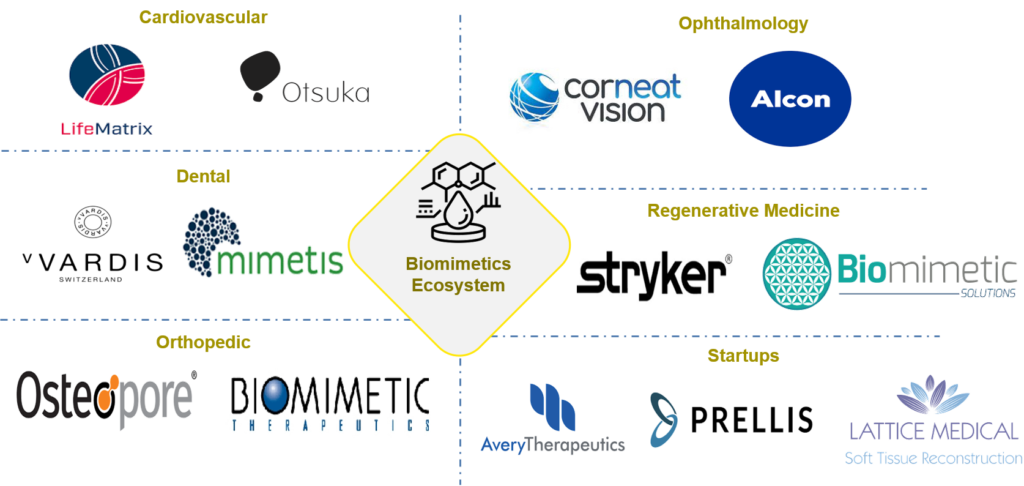 Healthcare companies and start-ups developing biomimetics