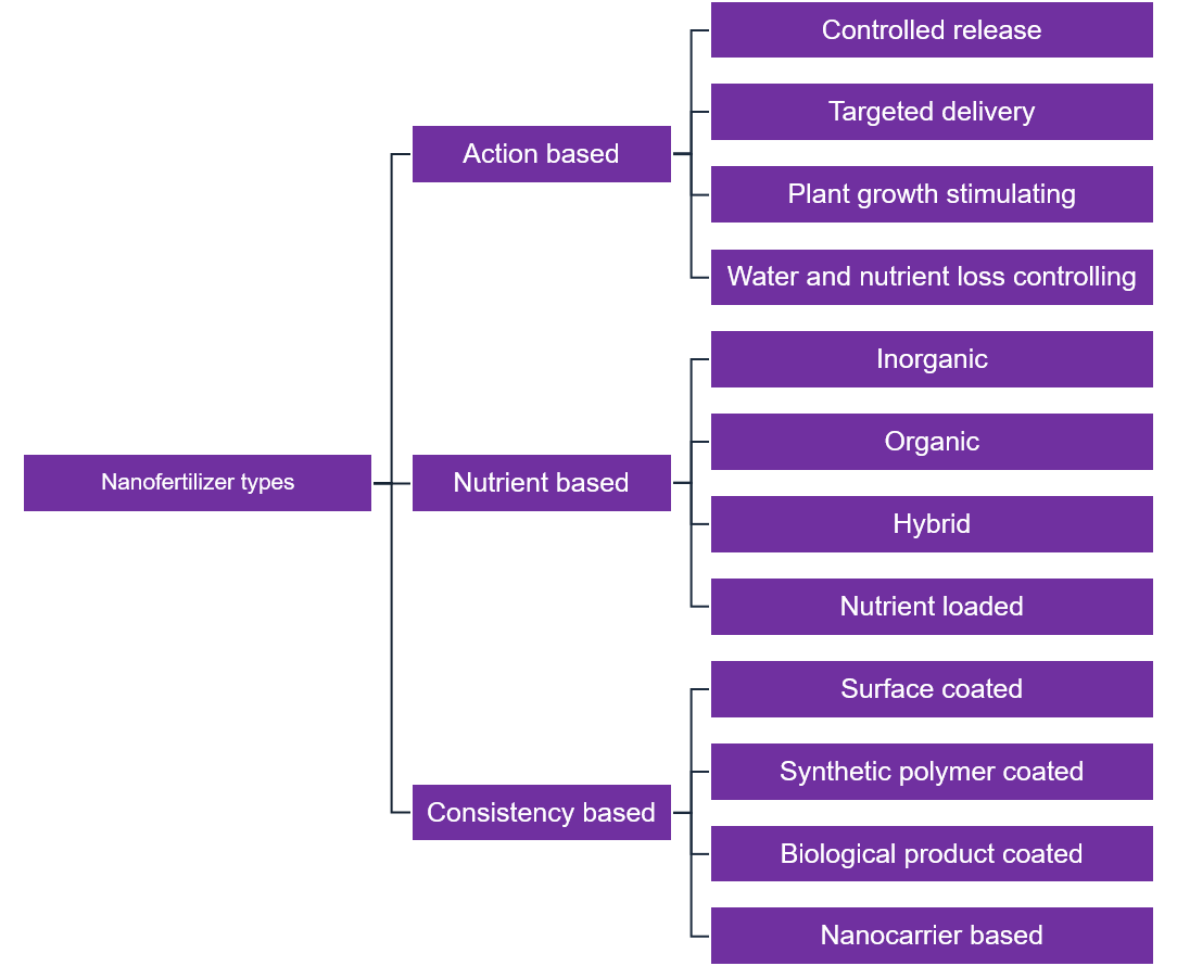 Nano fertilizers classified into different segments: Nanotechnology in smart fertilizers 