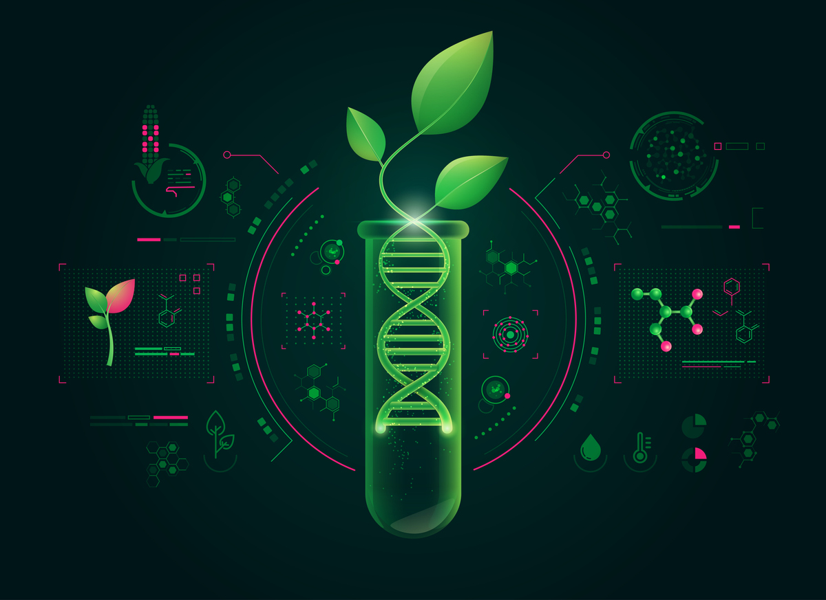 An Overview: Molecular Farming In Food Production