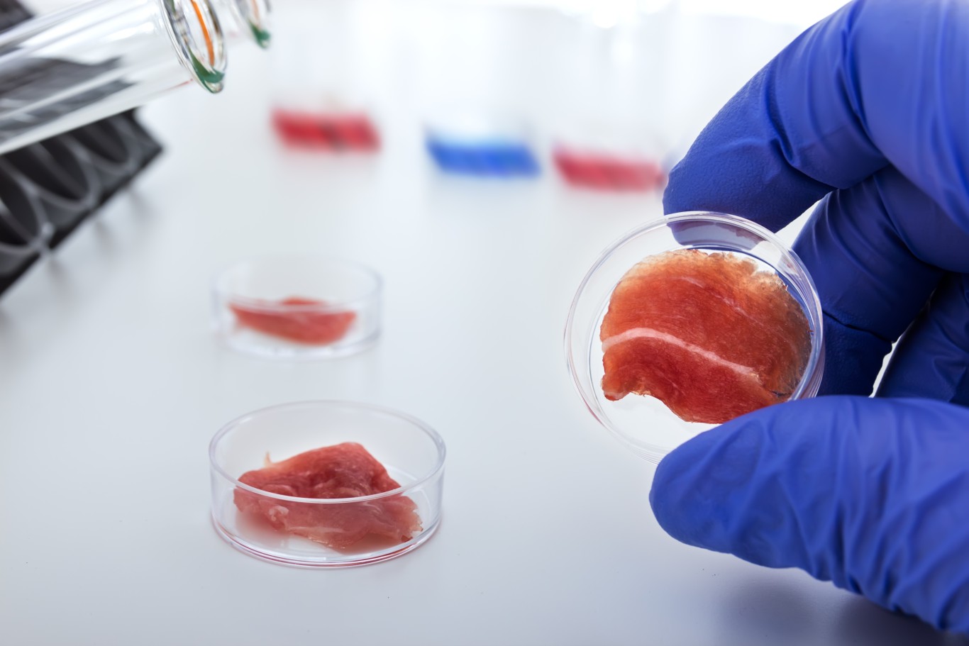 Exploring the Benefits and Future of Cultured Meat Products