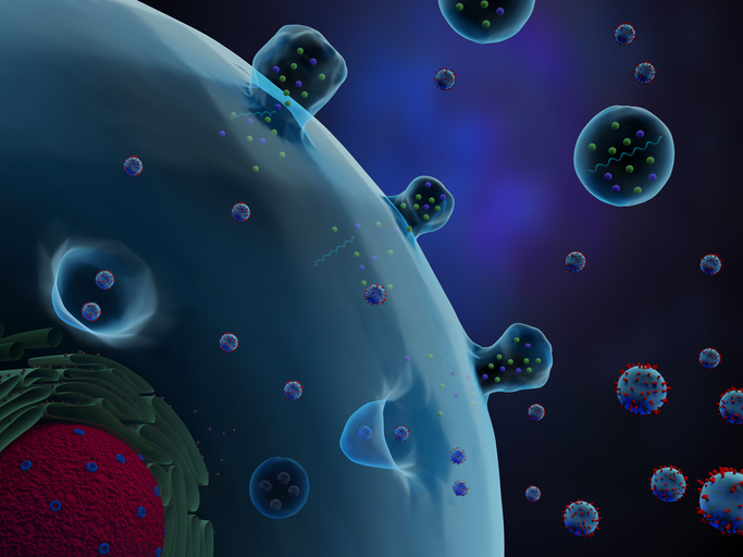 de novo Biologics’ Freightage: Exosomes