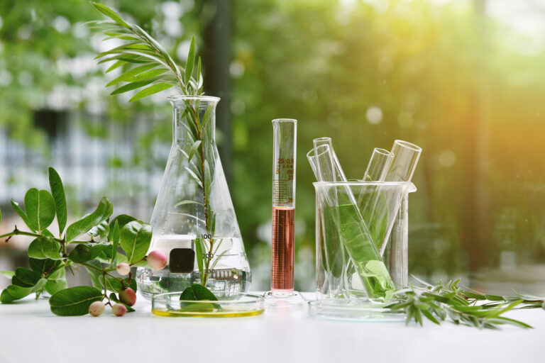 Natural Extracts in Skincare Applications