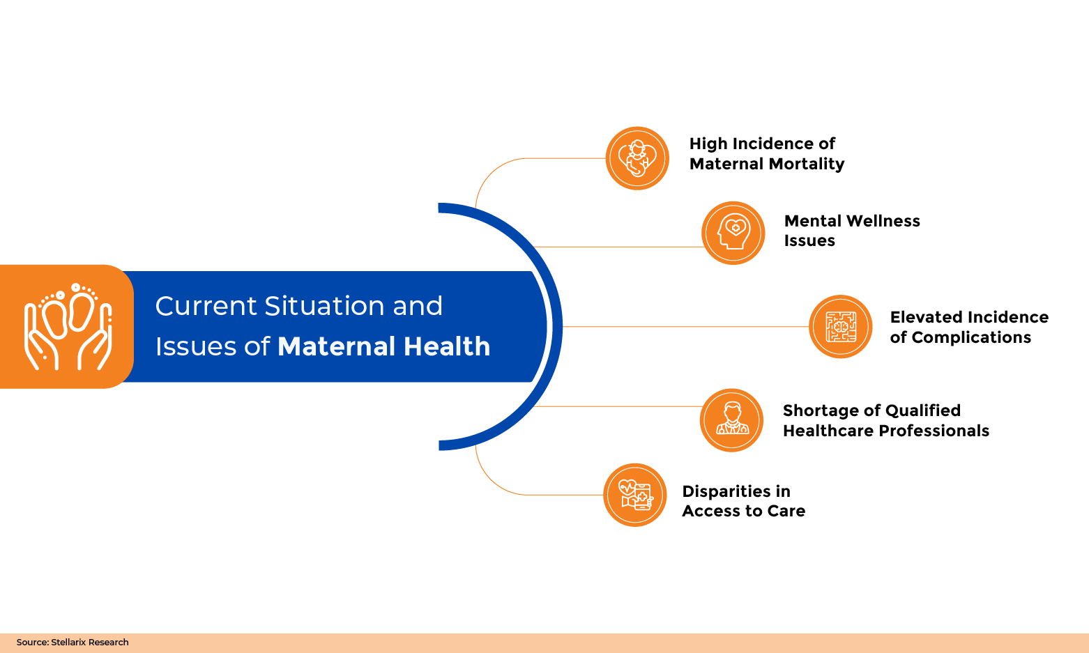 Current Situation and Issues of Maternal Health