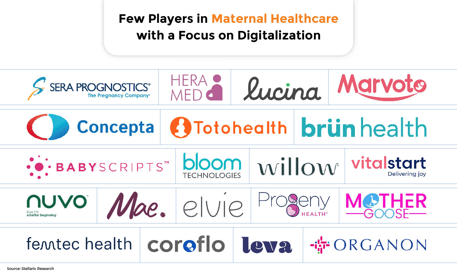 Few Players in Maternal Healthcare with a Focus on Digitalization