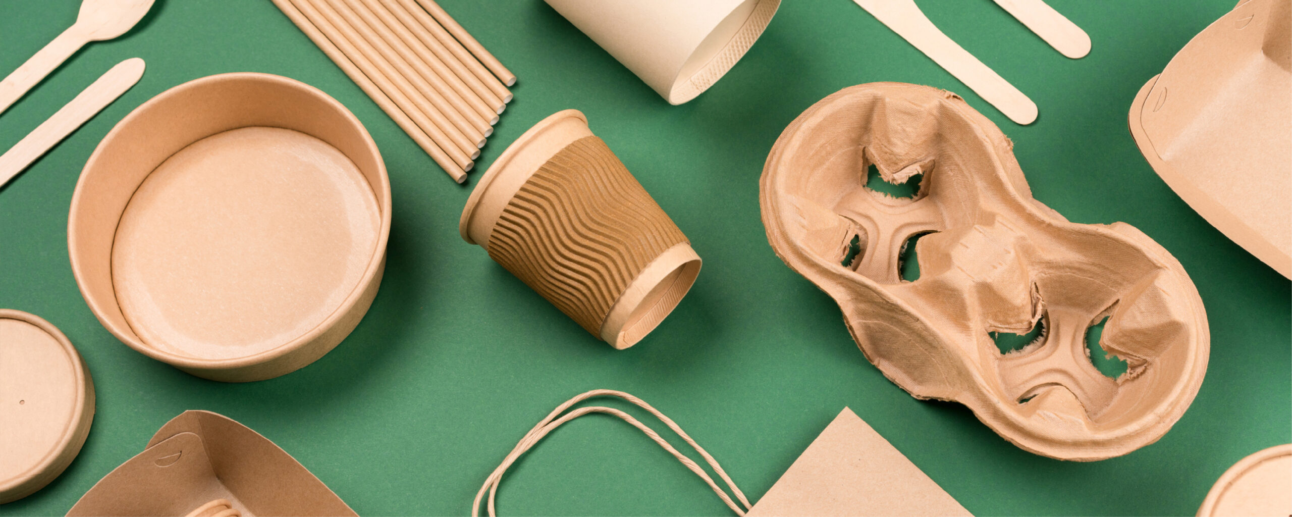 Paperization of Packaging A Sustainable Shift for Modern Businesses