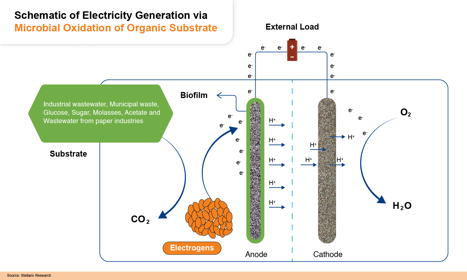 Schematic of Electricity Generation via Microbial Oxidation of Organic Substrate