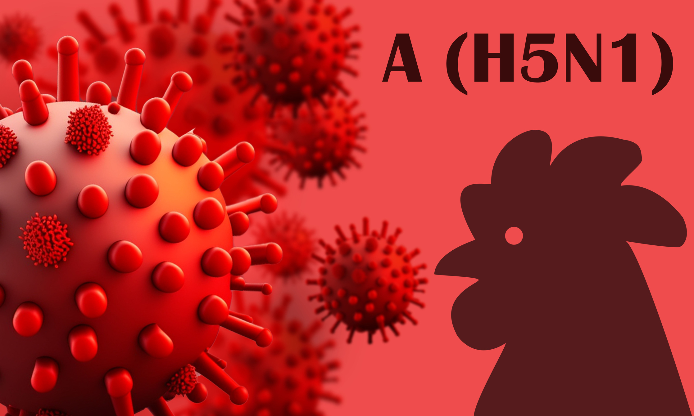 H5N1 Avian Flu Outbreak: Current Ballgame