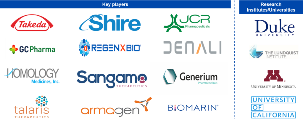 Key Players in Hunter Syndrome Treatment