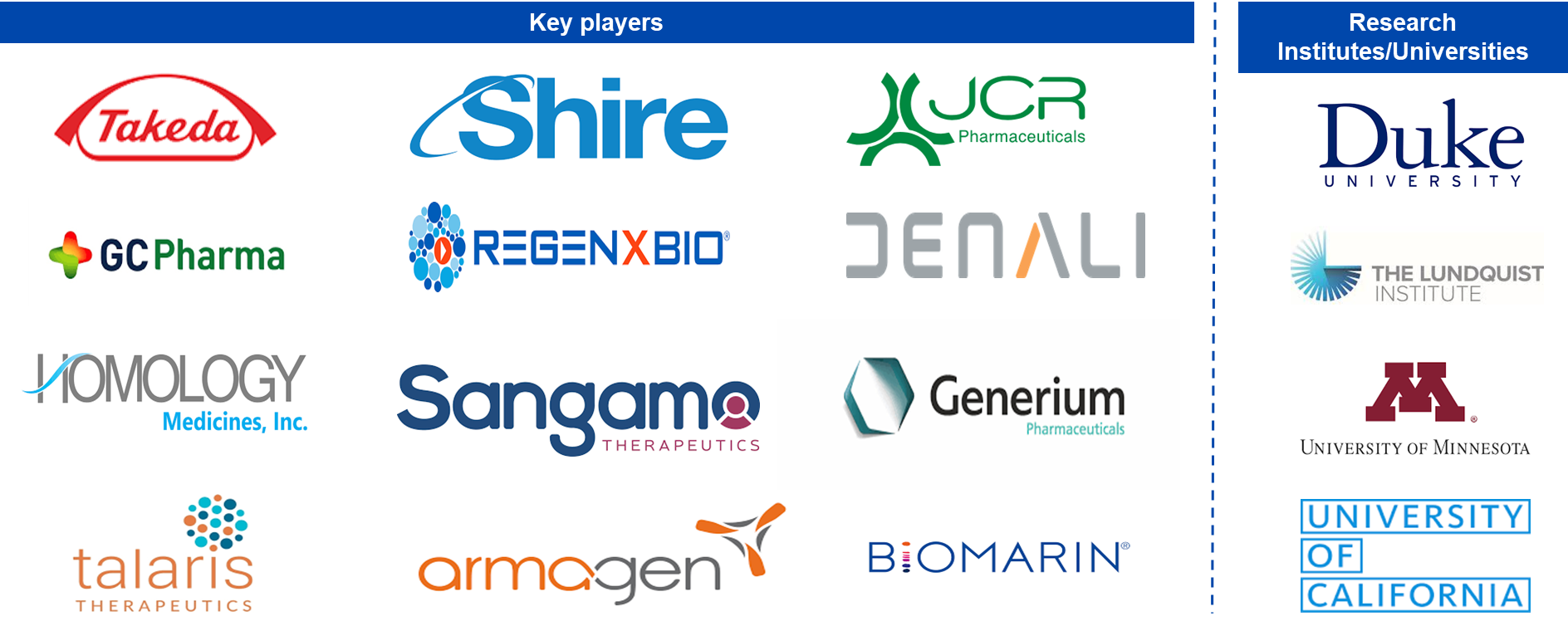 Key Players in Hunter Syndrome Treatment