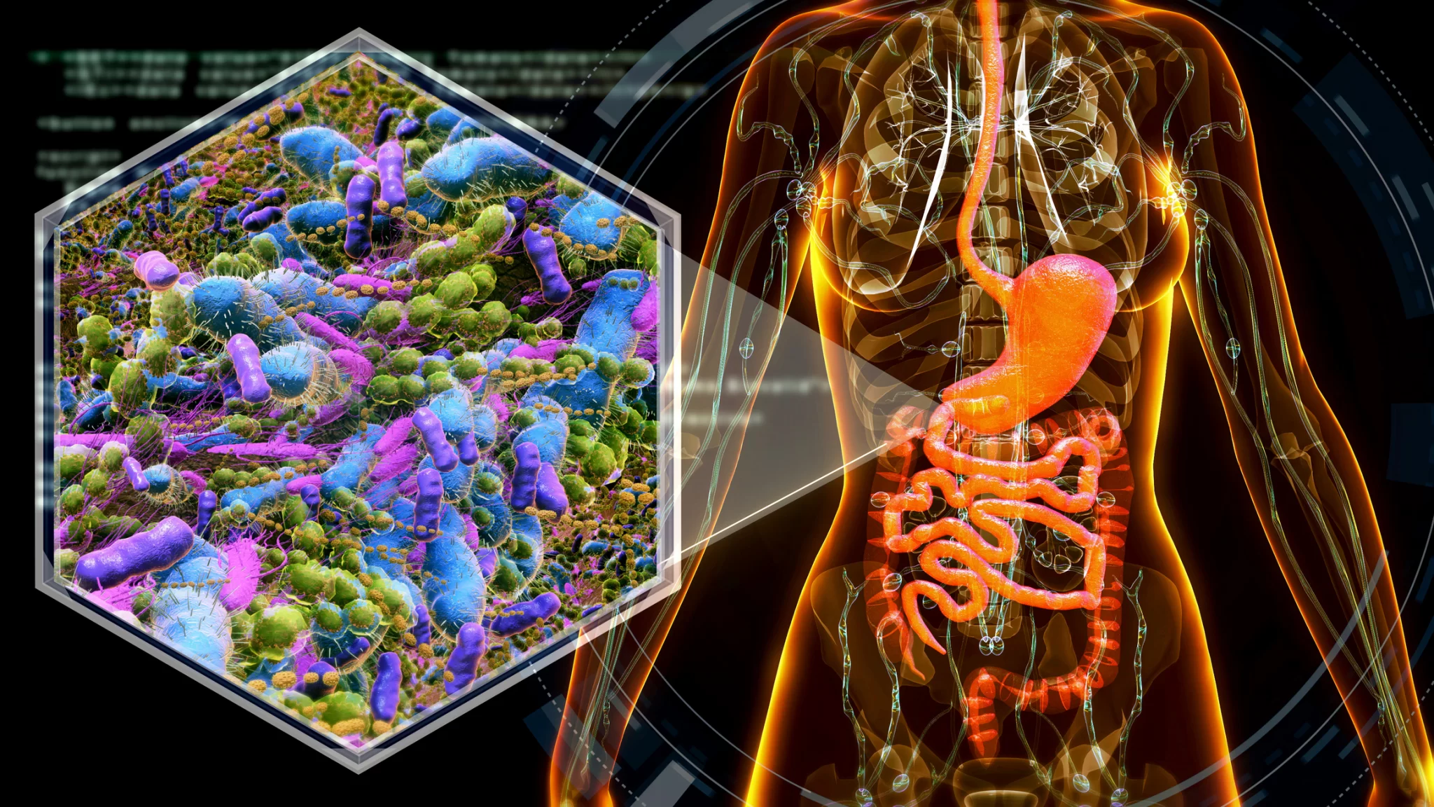 Microbiome-Analysis