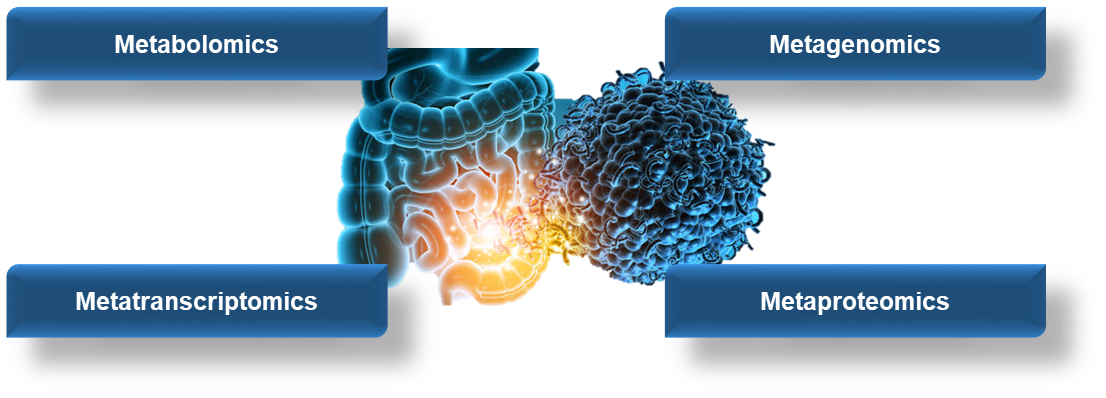 Omics Approaches for Microbiome Analysis