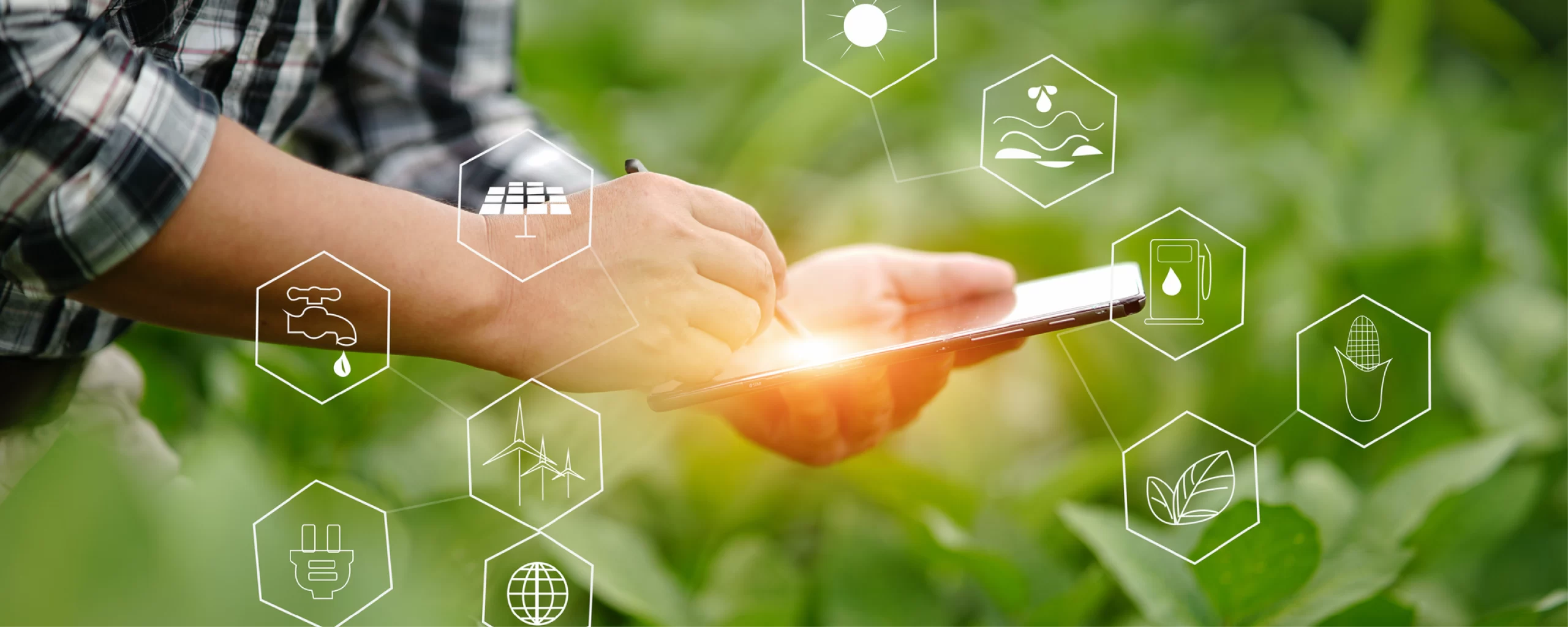 Artificial Intelligence in Farming