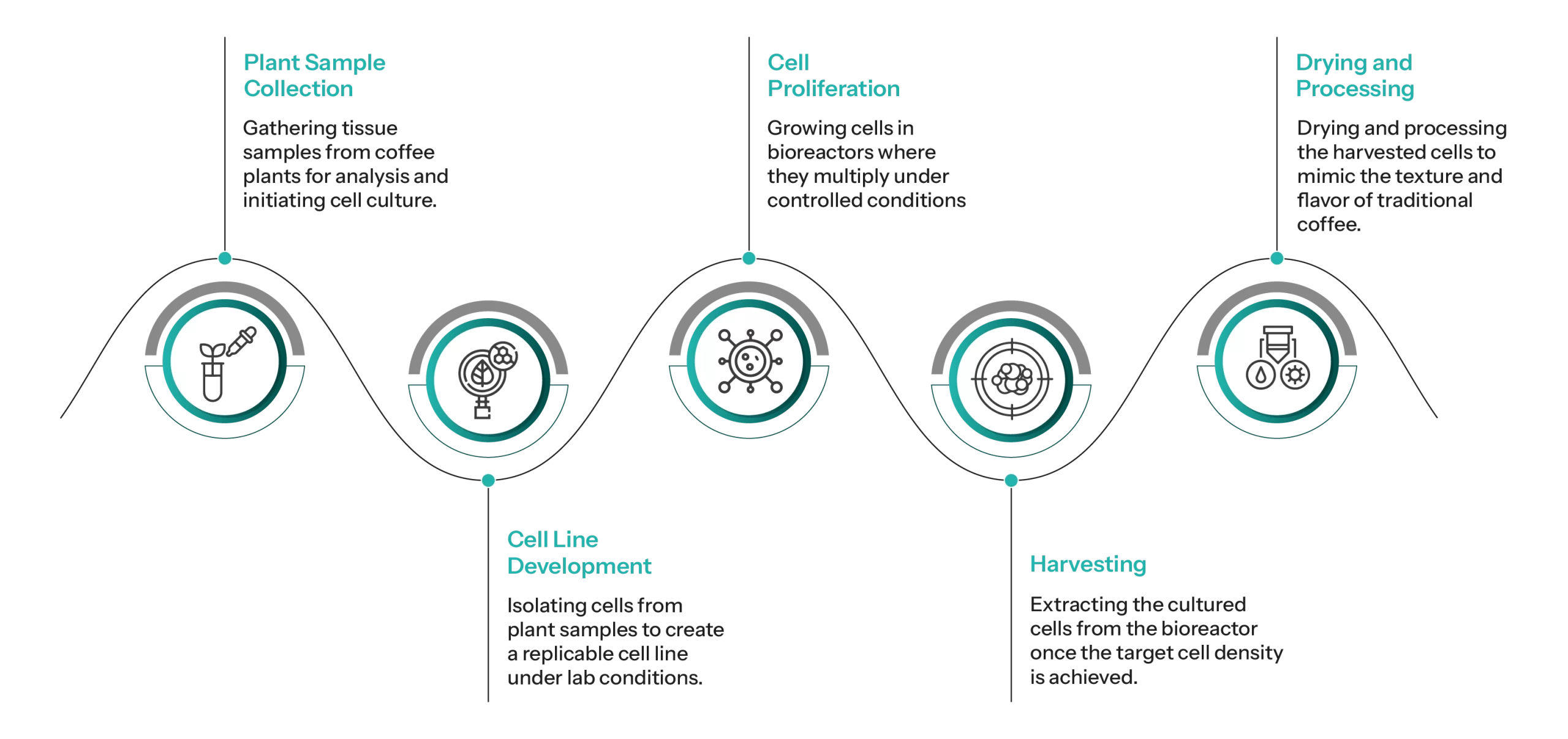 cellular coffee process