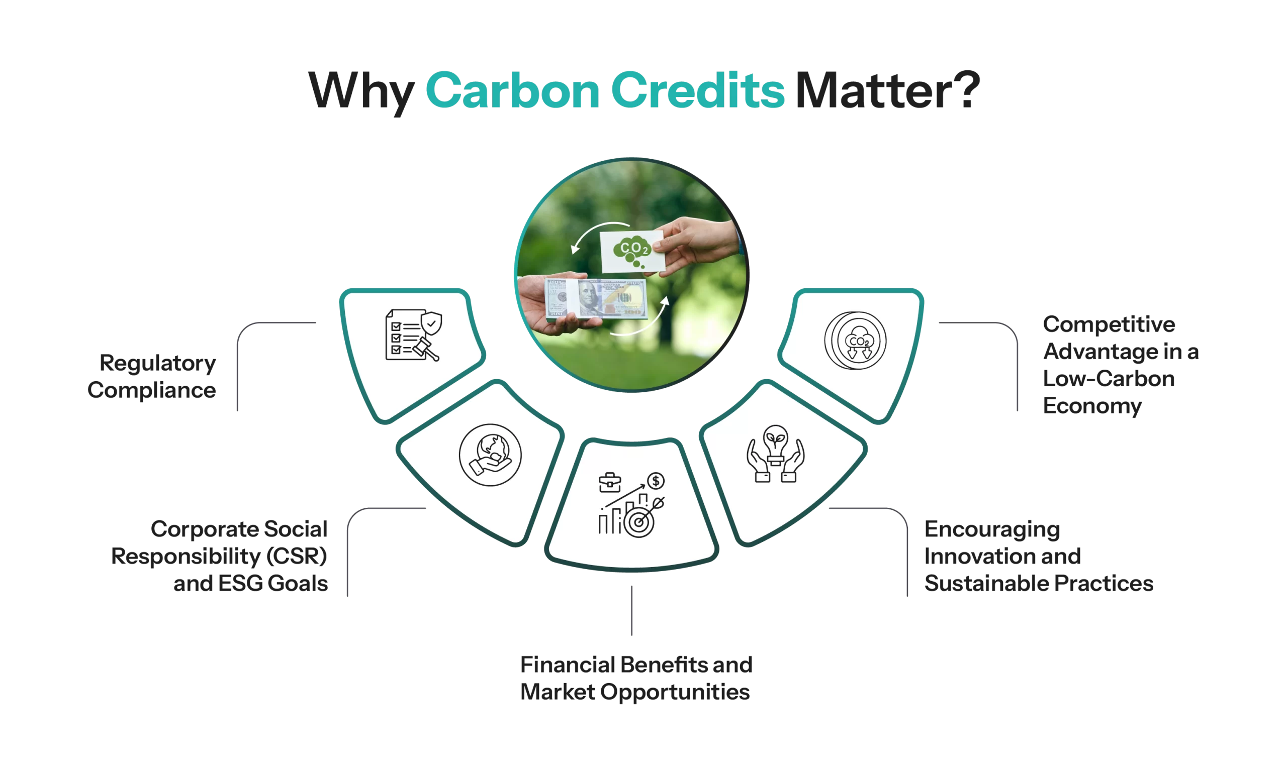 why carbon credits matter