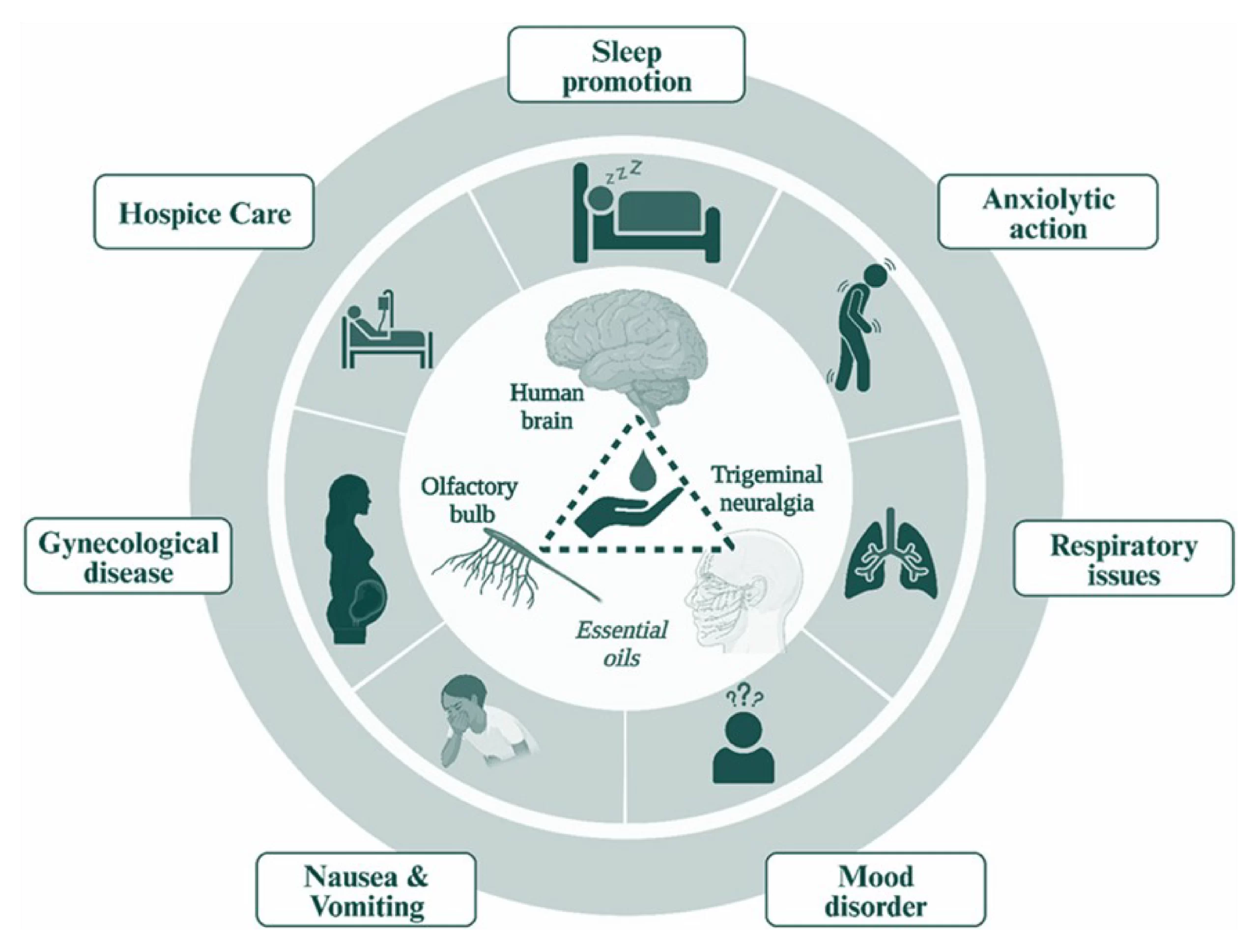 Psychology of Fragrance