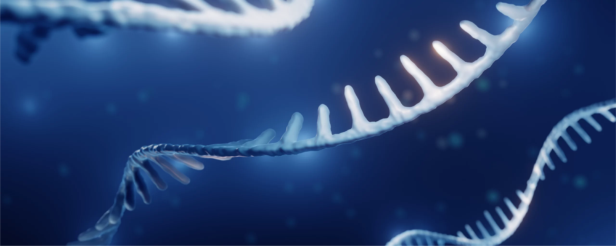 Circular RNA - Exploring New Potentials Beyond the Loop