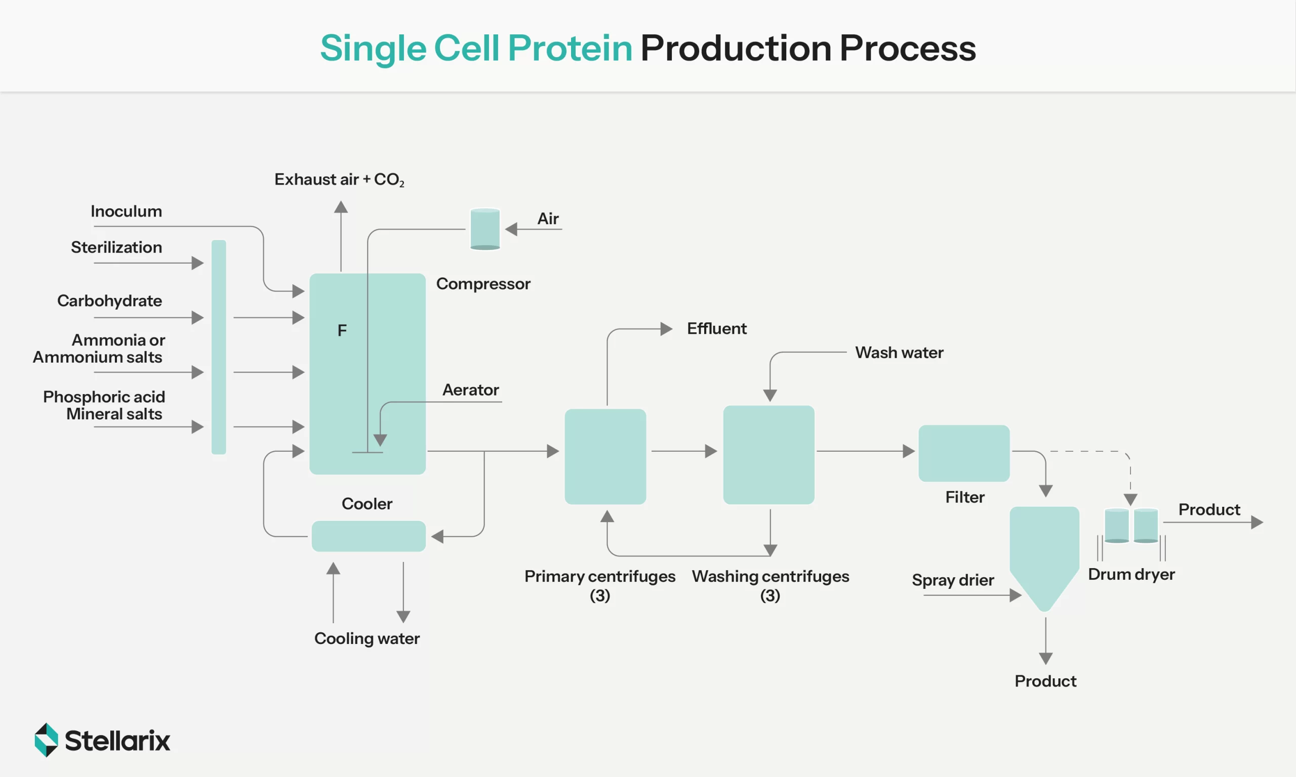 Flow Chart Simplifying Single Cell Protein Production Process