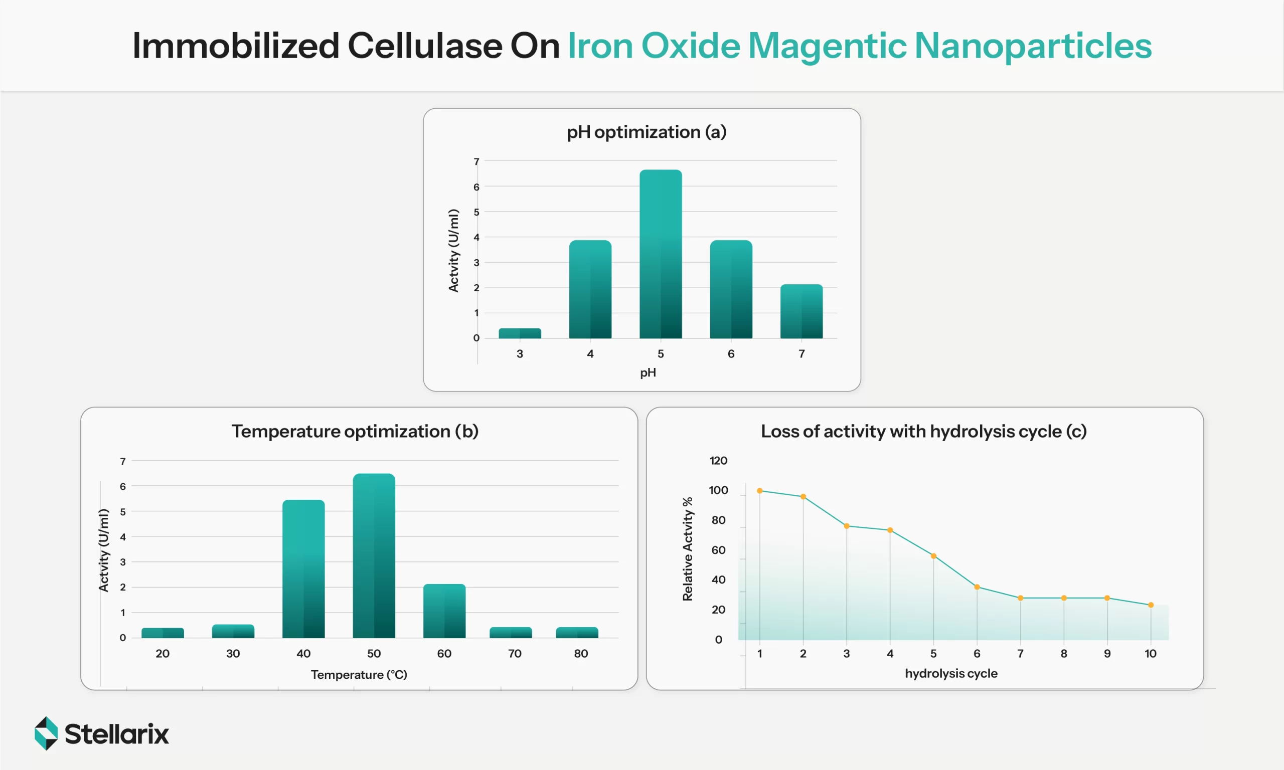 Immobilized Cellulase On Iron Oxide Magnetic Nanoparticles