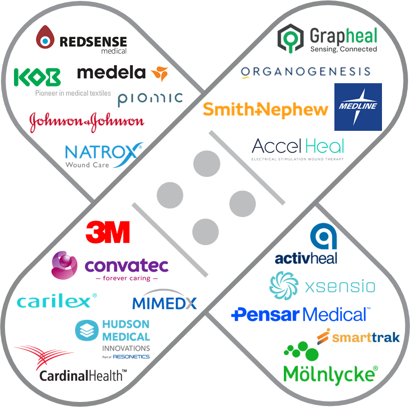 Notable Players in Smart Wound Care