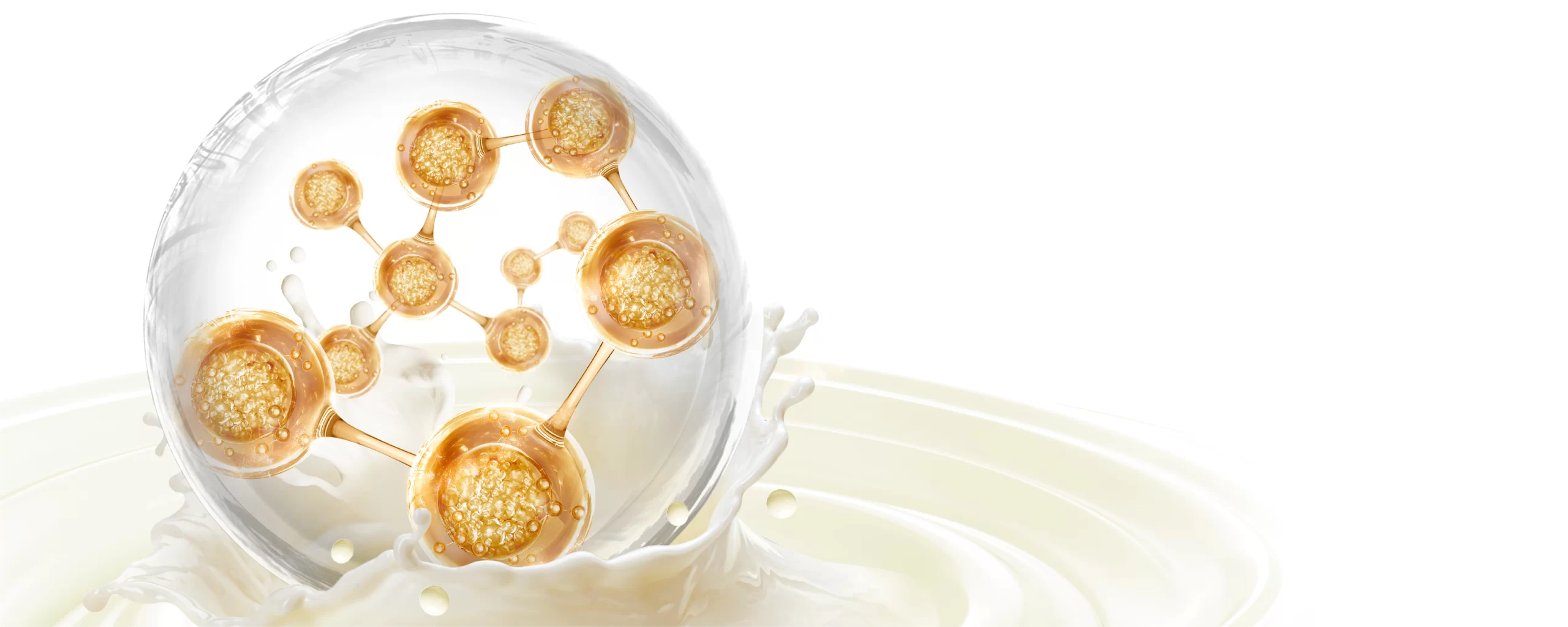 The Industry of Functional Dairy Ingredients