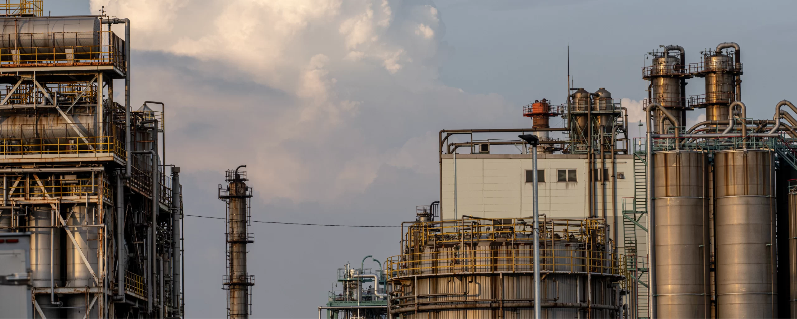 India An Emerging Bright Spot for the Petrochemical Industry