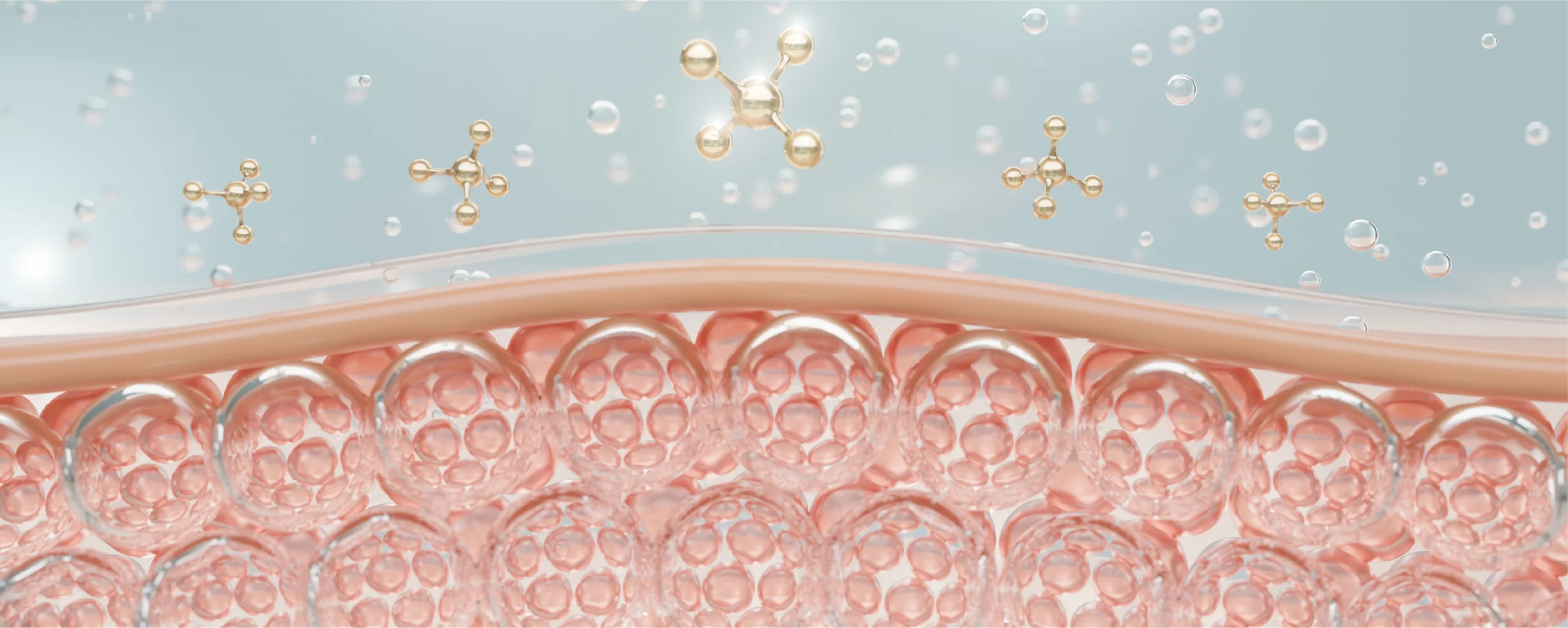 Skin Barrier Reinforcement
