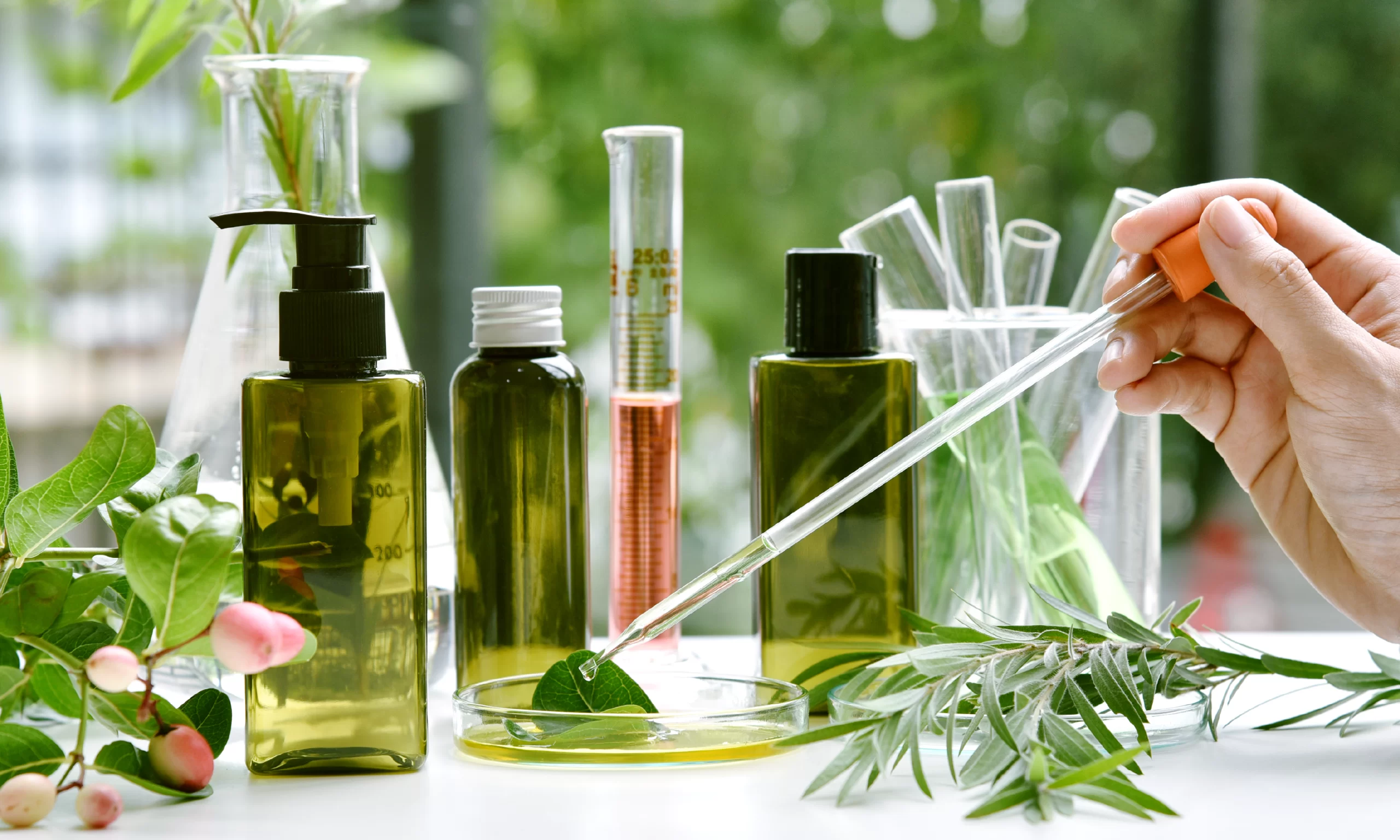 Fragrance and Perfumery