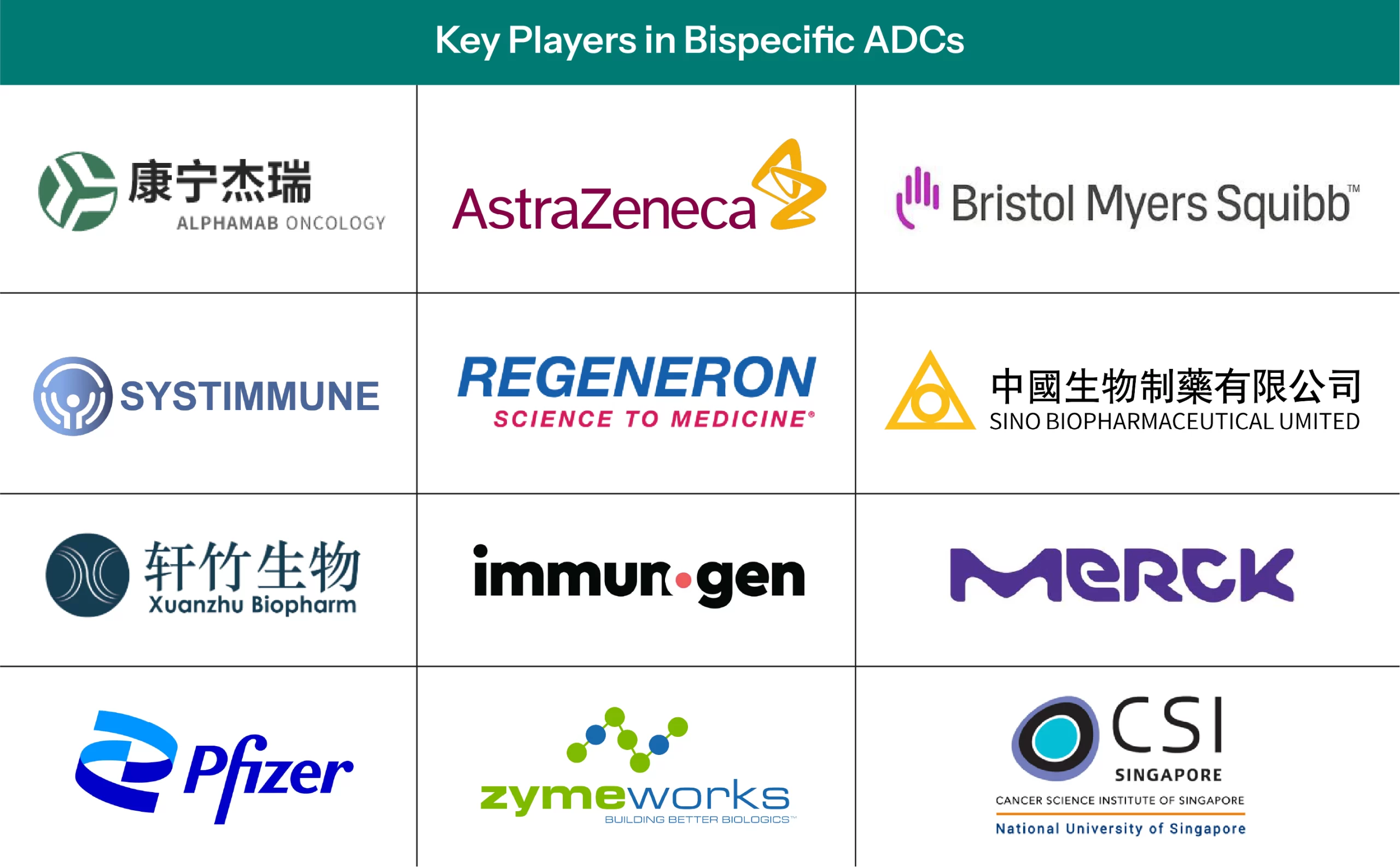 Key Players in Bispecific ADCs Development