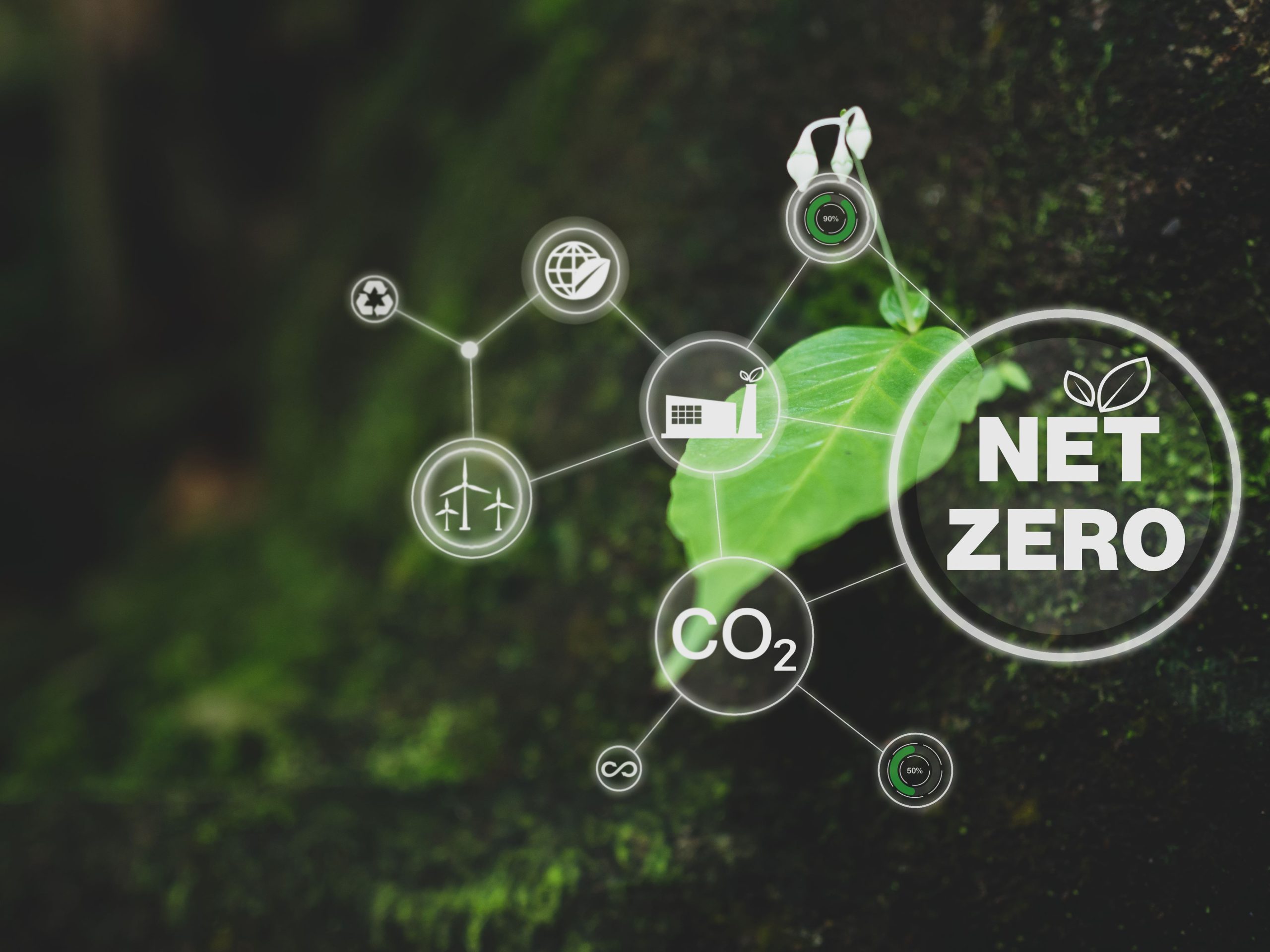 carbon-management