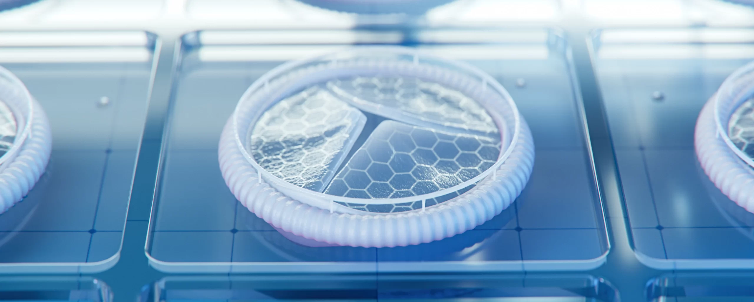 future of cardiac valves