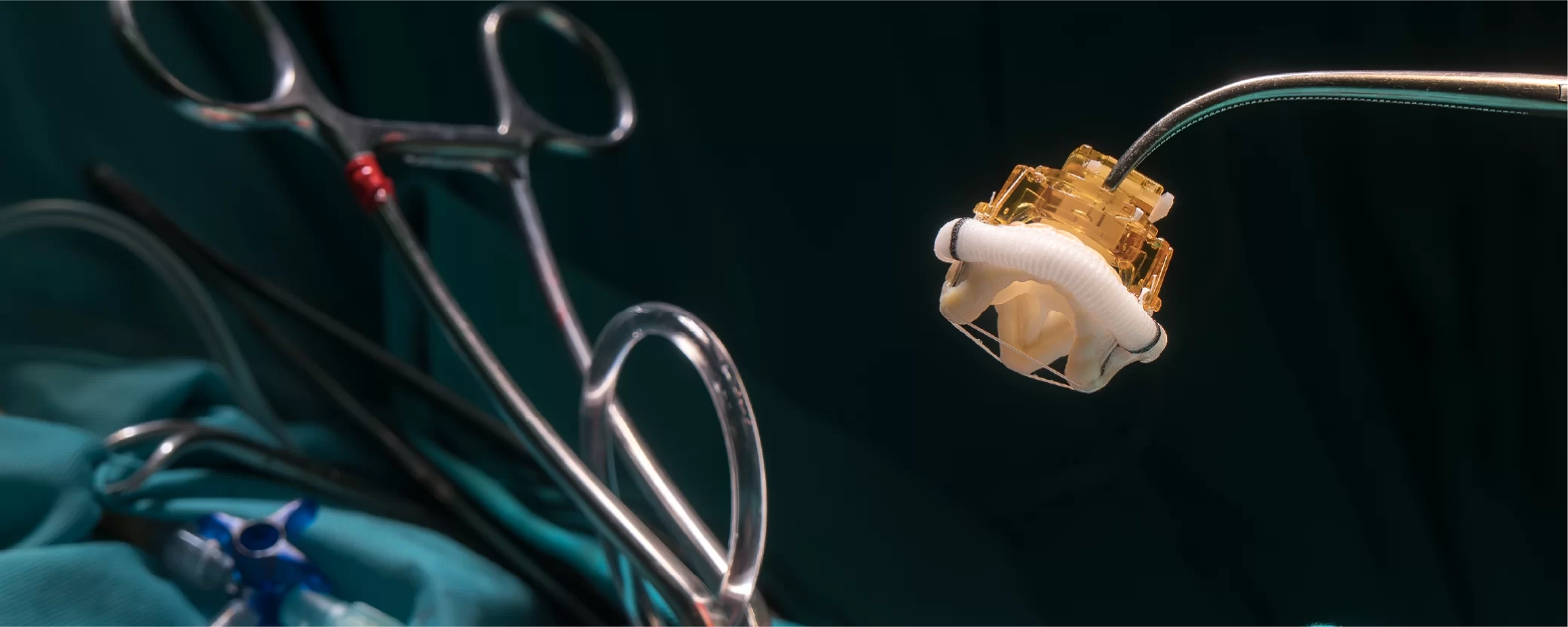 Reimagining the Future of Cardiac Valves in the Horizon 1