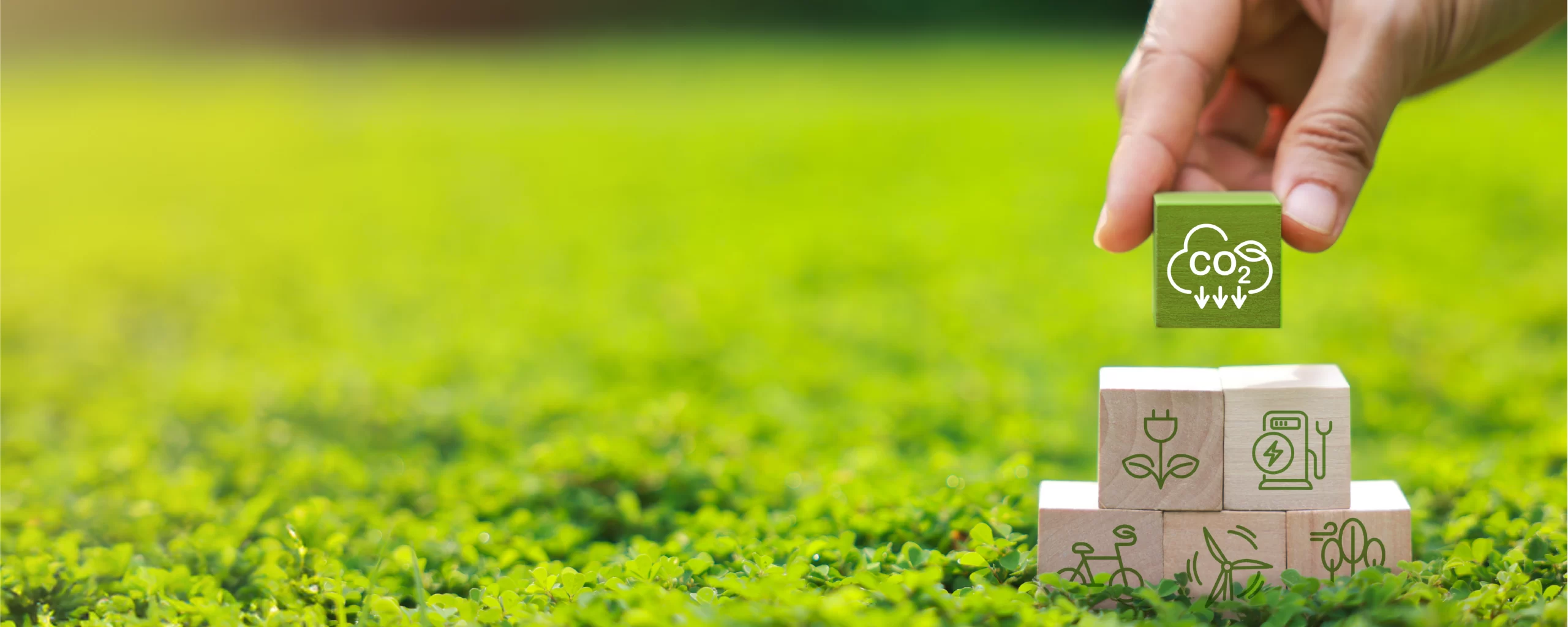 agritech-carbon-farming-trends