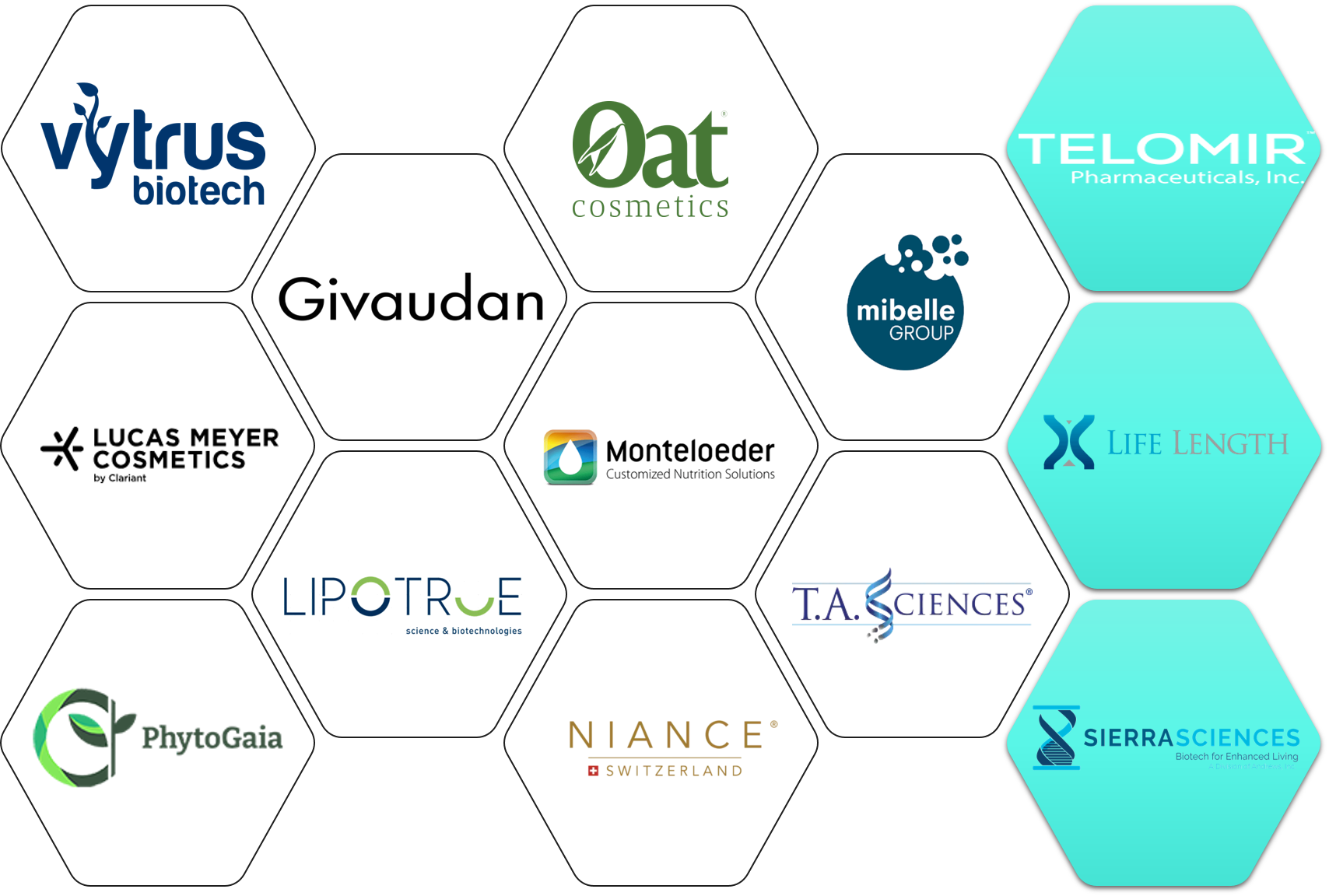 Companies-Landscape-in-the-Domain-of-Telomere-Activators
