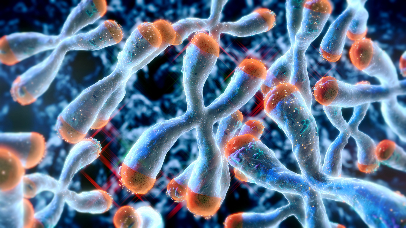 The Defensible Moat: How Telomere Science is Redefining Competitive Advantage