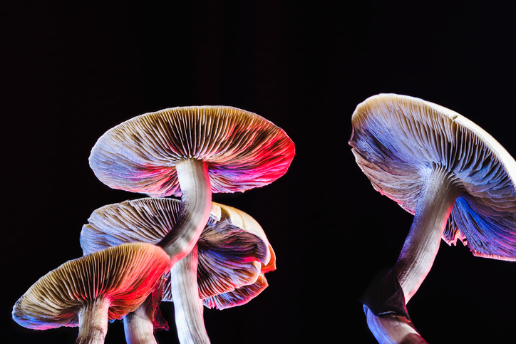 Improving Competitiveness of a Biopharma Leader through Psilocybin Landscape Mapping